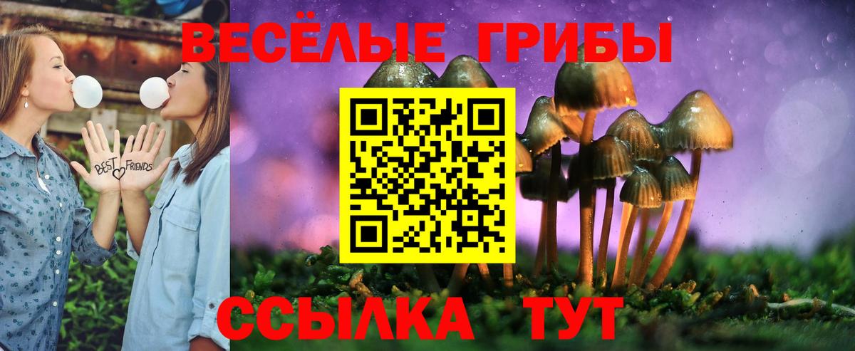 Псилоцибиновые грибы мухоморы Тейково